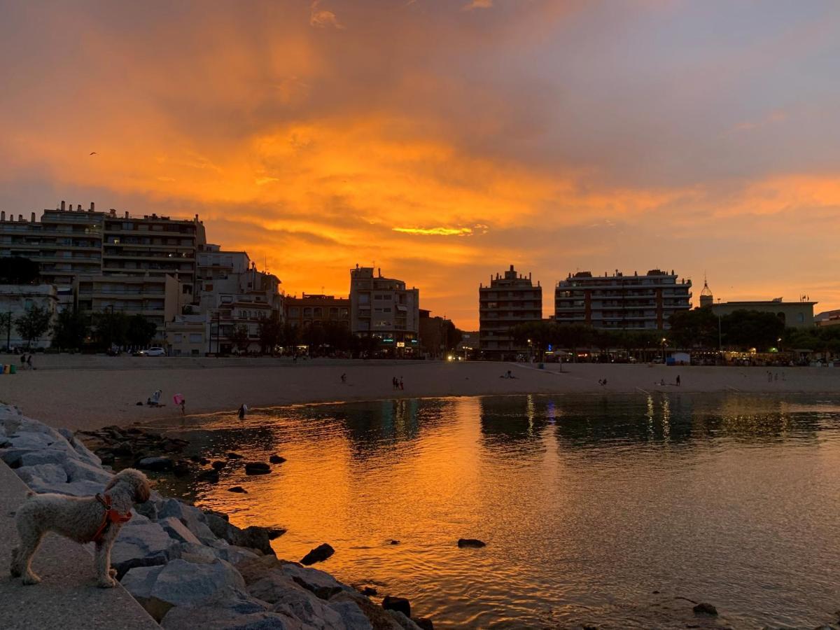 Notaria-Apartamento Y Estudio En Casco Antiguo, Al Lado De Playa, Rambla Y Monasterio, Con Acceso A Terraza Ajardinada ซานต์เฟลิอูเดกีโซลส์ ภายนอก รูปภาพ